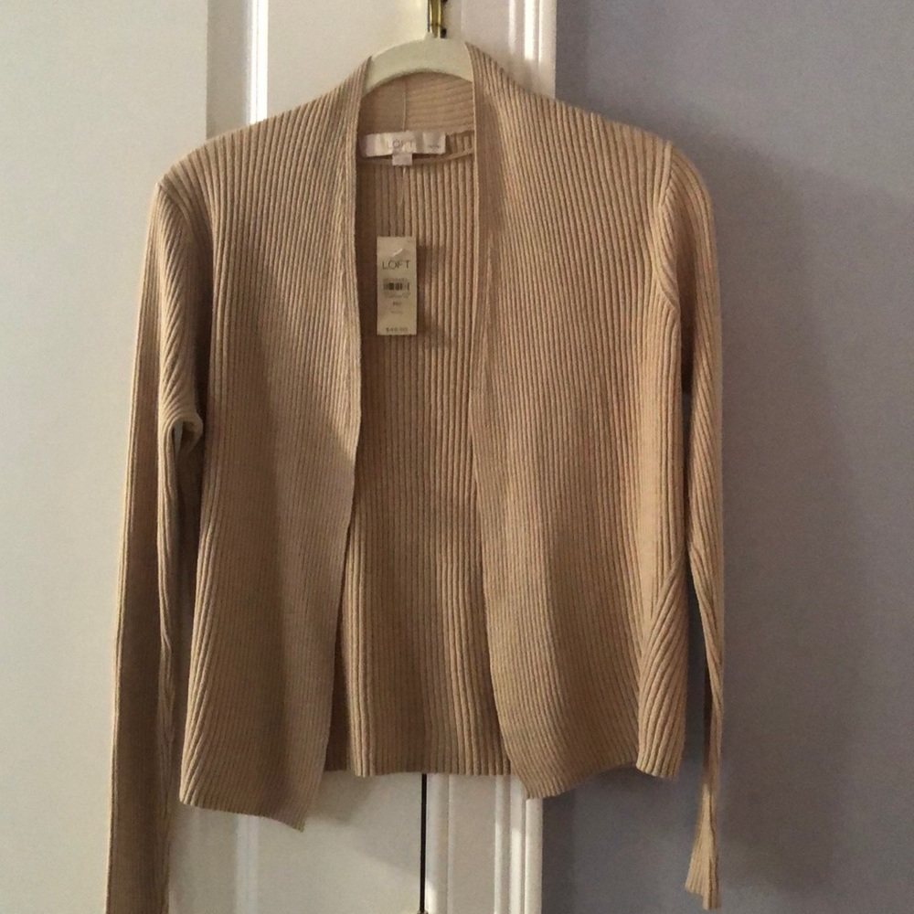 Ann Taylor lift sweater, medium petite